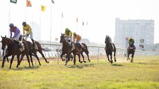 Nichos deportivos en los sitios de apuestas: De los eSports a las carreras de caballos