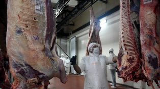 La decisión de Washington abre una ventana de oportunidad para la carne argentina.