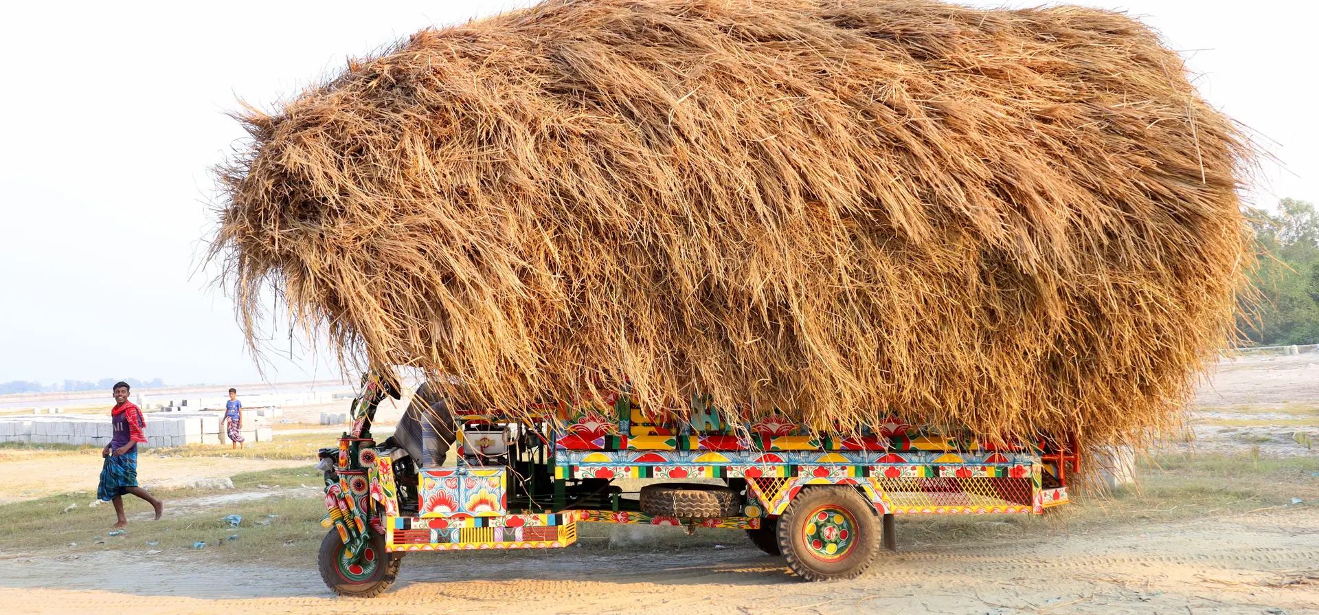 Los conductores transportan paja de arroz, un subproducto del arroz, en pequeños camiones para su venta a mayoristas, Kazipur Upazila, Bangladesh. Fotografía: Syed Mahabubul Kader/ZUMA/Shutterstock Los conductores transportan paja de arroz, un subproducto del arroz, en pequeños camiones para su venta a mayoristas, Kazipur Upazila, Bangladesh. Fotografía: Syed Mahabubul Kader/ZUMA/Shutterstock