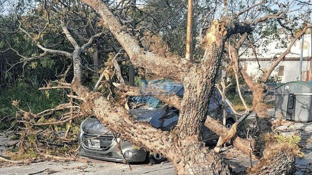 Video: Fuertes vientos, lluvias y granizo en ciudades entrerrianas
