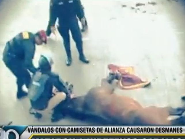 Captura de video.
