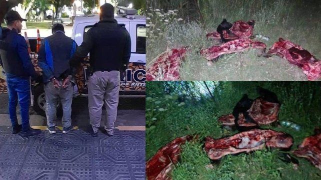 Detuvieron en Concordia a un cuatrero armado con seis medias reses de terneros durante un operativo policial en flagrancia.