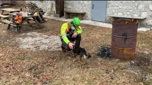 Un perro acompañó a su dueño herido en un paraje helado en la montaña hasta su rescate