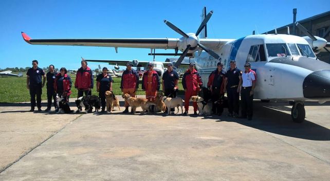 Perros adiestrados: Toby, Bruno y Halcón, algunos de los canes estrella de 2017