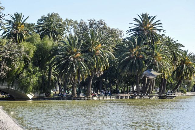 El atraco ocurrió en una zona muy poblada del laguito del parque Independencia.