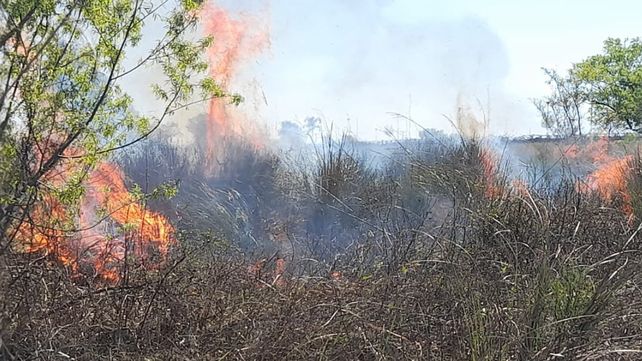 El Servicio Nacional de Manejo del Fuego (SNMF) registró nuevos incendios en el departamento Victoria. También indicó que continúan las llamas en Gualeguay