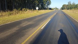 Despistó y chocó contra un árbol en la ruta 2