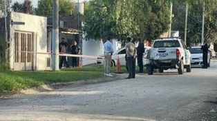 Horror: un perro pitbull mató a una beba de un año frente a su mamá y su abuelo