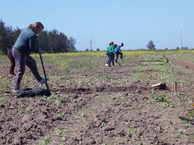 Organizaciones sociales y ambientales piden una nueva Constitución provincial que ponga la vida en el centro