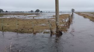 El drama de los productores del norte santafesino que sigue bajo agua