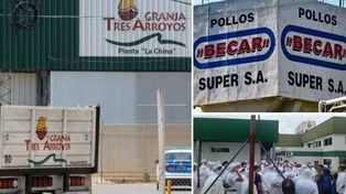 Informaron despidos de trabajadores en Granja Tres Arroyos, en La Histórica 