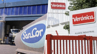 Producción récord y empresas al borde del colapso: la paradoja de la lechería en Santa Fe