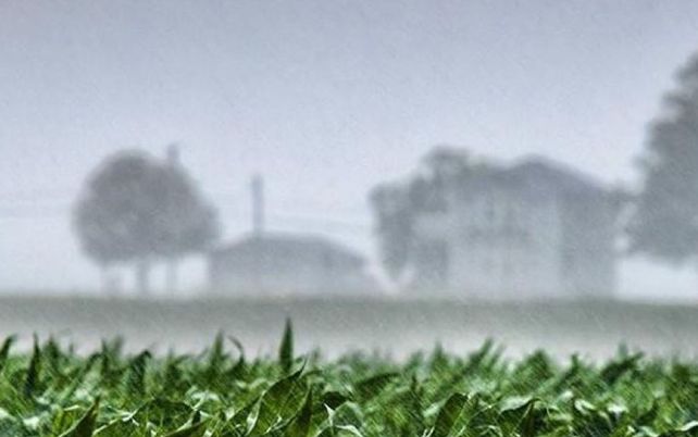 Las lluvias aliviaron al sector agrícola y confían en que se revierta la sequía