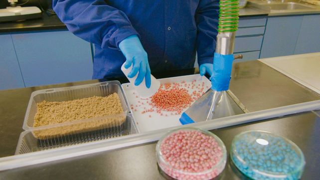Para los productores que guardaron sus propias semillas será crucial conocer si las mismas están en condiciones óptimas para la siembra con el objetivo de evitar pérdidas y mermas en el rendimiento.