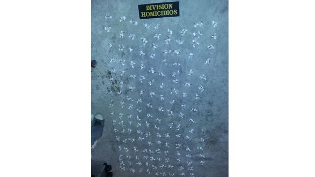 Dos causas. El arma sería la utilizada para golpear a Segovia; la droga será remitida al Juzgado Federal.