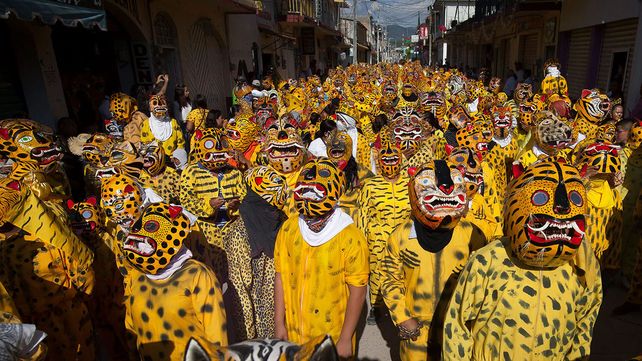 Imágenes ganadoras del premio Fotógrafo de Vida Silvestre 2018