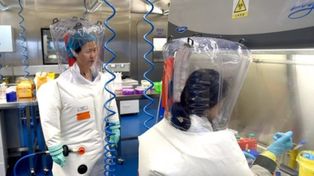 Según la OMS, el Covid no escapó de un laboratorio chino