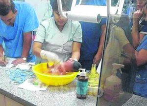 Detuvieron a una mujer acusada de tirar a una  letrina a una recién nacida
