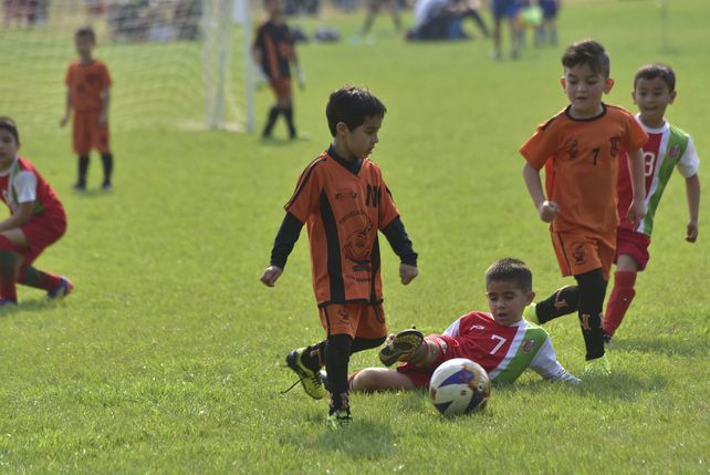 Torneo Naranjitos a todo color