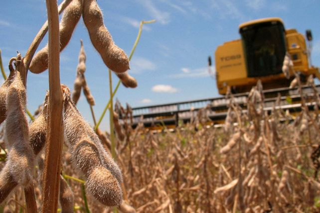 Dólar agro. Distintas estimaciones indican que el agro tiene para liquidar entre u$s 8 mil millones y u$s 10 mil millones.