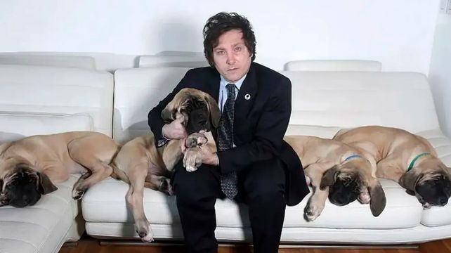 Con el impulso de Milei