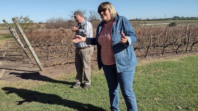 Julio Ingold y Mirta Rivas reciben a los turistas en Los Pinos. En 1992 la bodega&nbsp; compró 1.050 plantas de merlot en el sur de Francia que aun hoy producen.