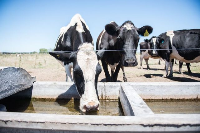 La disposición de agua a voluntad