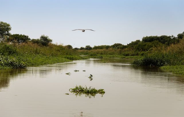 La Municipalidad logró un paso importante al lograr el embargo mientras se dirime la causa judicial por las tierras.