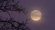Llega una nueva Luna de Fresa: qué es y cuándo se la puede ver en el cielo