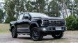 Chery, con sus marcas Karry y Rely, ponen foco en los utilitarios y Pick Ups