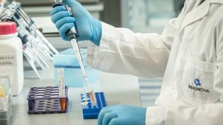 Culminaron las pruebas del suero equino creado en el país y comienza el análisis de los resultados