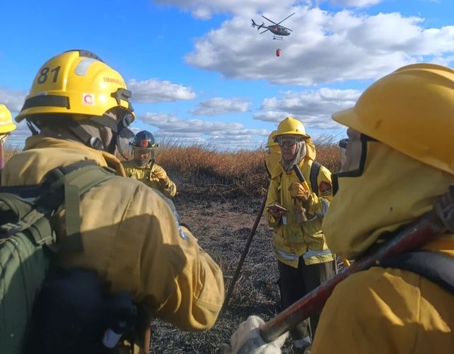 Reforzarán la formación de brigadistas para el plan del manejo del fuego.