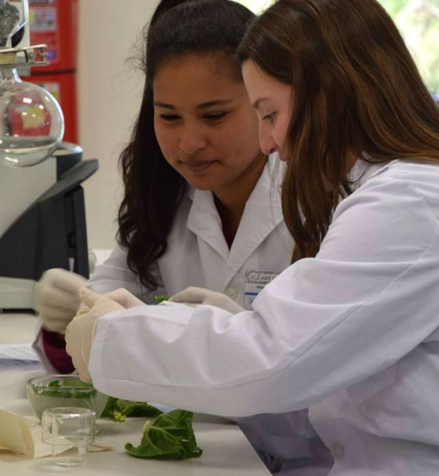 Las pibas y los pibes piden ciencia en las escuelas