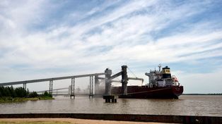 Dreyfus se expande en el país: compró acopio de cereales y oleaginosas en La Pampa