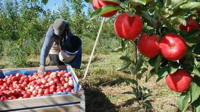 Manzanas. El sector de fruticultura salió beneficiada con la medida oficial.