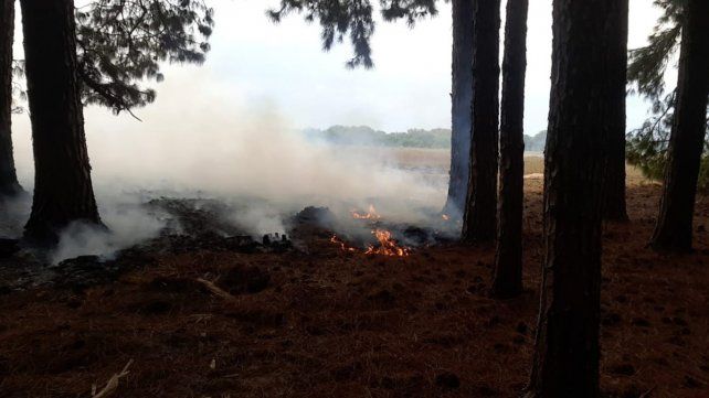 Bomberos Voluntarios de Ceibas acudieron el sábado y el domingo a apagar incendios en la estancia La Pellegrina. El lugar reportó al menos 15 en la temporada&nbsp;