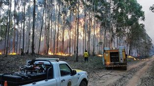 Desde el miércoles trabajan las dotaciones en Calabacilla, donde se quemaron unas 1.300 hectáreas.