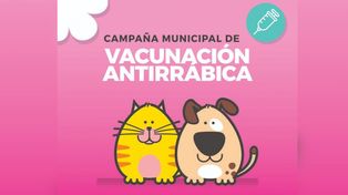 Vacunación antirrábica en Santo Tomé&nbsp;