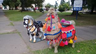 Las figuras que provocaron la confusión de algunos habitantes del barrio santafesino.