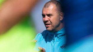 El australiano Michael Cheika, el entrenador de Los Pumas, uno de los técnicos extranjeros en el Mundial de Francia 2023.