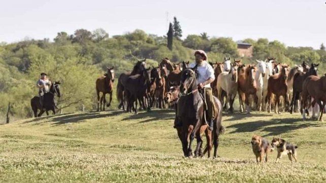 Además de desfile de agrupaciones tradicionalistas