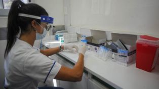 Coronavirus: se reportaron 645 nuevos contagios en la provincia, de los cuales 204 son de Santa Fe ciudad