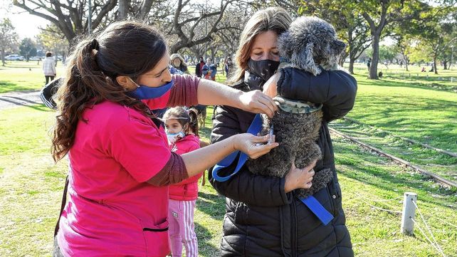 Campaña de vacunación antirrábica en la ciudad de Santa Fe