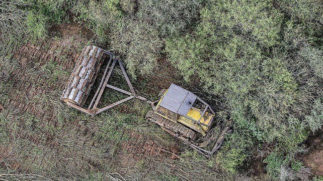 Greenpeace detectó que durante el primer semestre del año en el norte del país se deforestaron 51.600 hectáreas