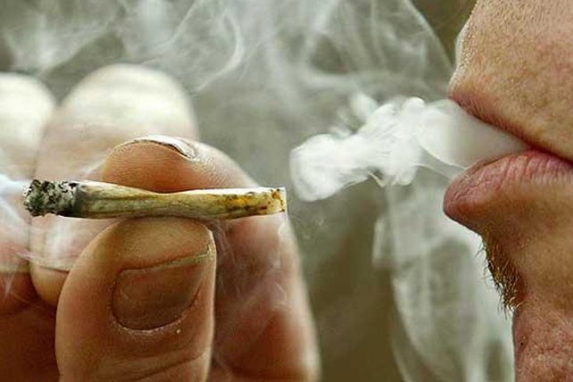 Hormona natural bloquería el efecto de la marihuana