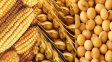Retenciones a soja, maíz y trigo