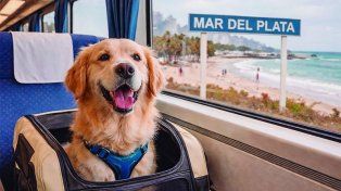Los turistas ahora podrán trasladarse en tren con sus mascotas en viajes de Buenos Aires a Mar del Plata.