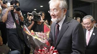 El biólogo japonés Yoshinori Ohsumi ganó el premio Nobel de medicina