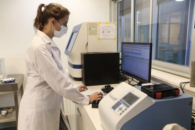 La investigación se realizó sobre una muestra de 180 casos positivos que corresponden a los meses de mayo y junio.