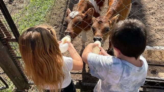 Granjas educativas en Santa Fe: el desafío de vivir y enseñar del campo